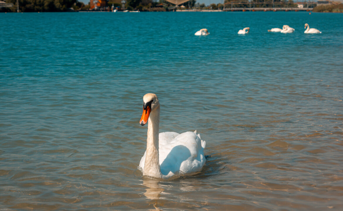 Nature photograph from the existing Lucas Buzek photography website